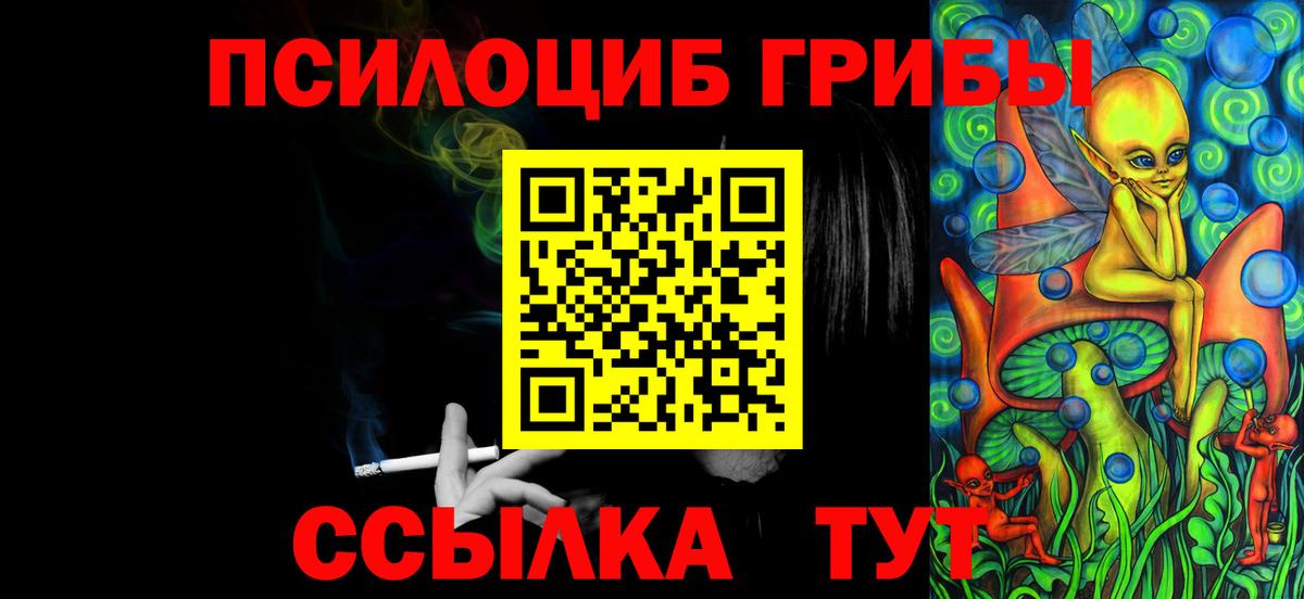 Псилоцибиновые грибы Psilocybe Мурманск