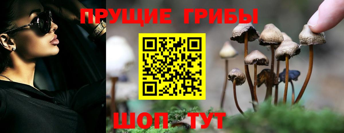 Мурманск  Псилоцибиновые грибы прущие грибы  Вход с VPN 
